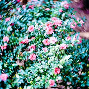 Vintage HELIOS 44-2 58mm Lens w/ Bokeh & Flare | M42 Mount | Petzval Effect - Pro Serviced