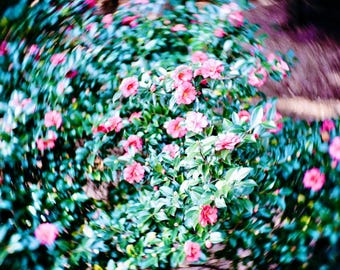 Objetivo vintage HELIOS 44-2 de 58 mm con efecto bokeh y destellos | Montura M42 | Efecto Petzval - Servicio profesional