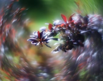 Objetivo HELIOS 44-3 de 58 mm con bokeh y destellos | Montura M42 | Efecto Petzval - Servicio profesional