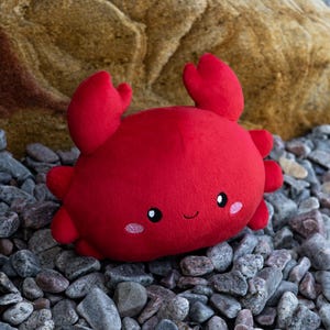 Сrab Handmade Plushie, Custom Plush Toy, Custom Stuffed Animal, Picture Customized Plush, Soft Crustacean, Cuddling toy