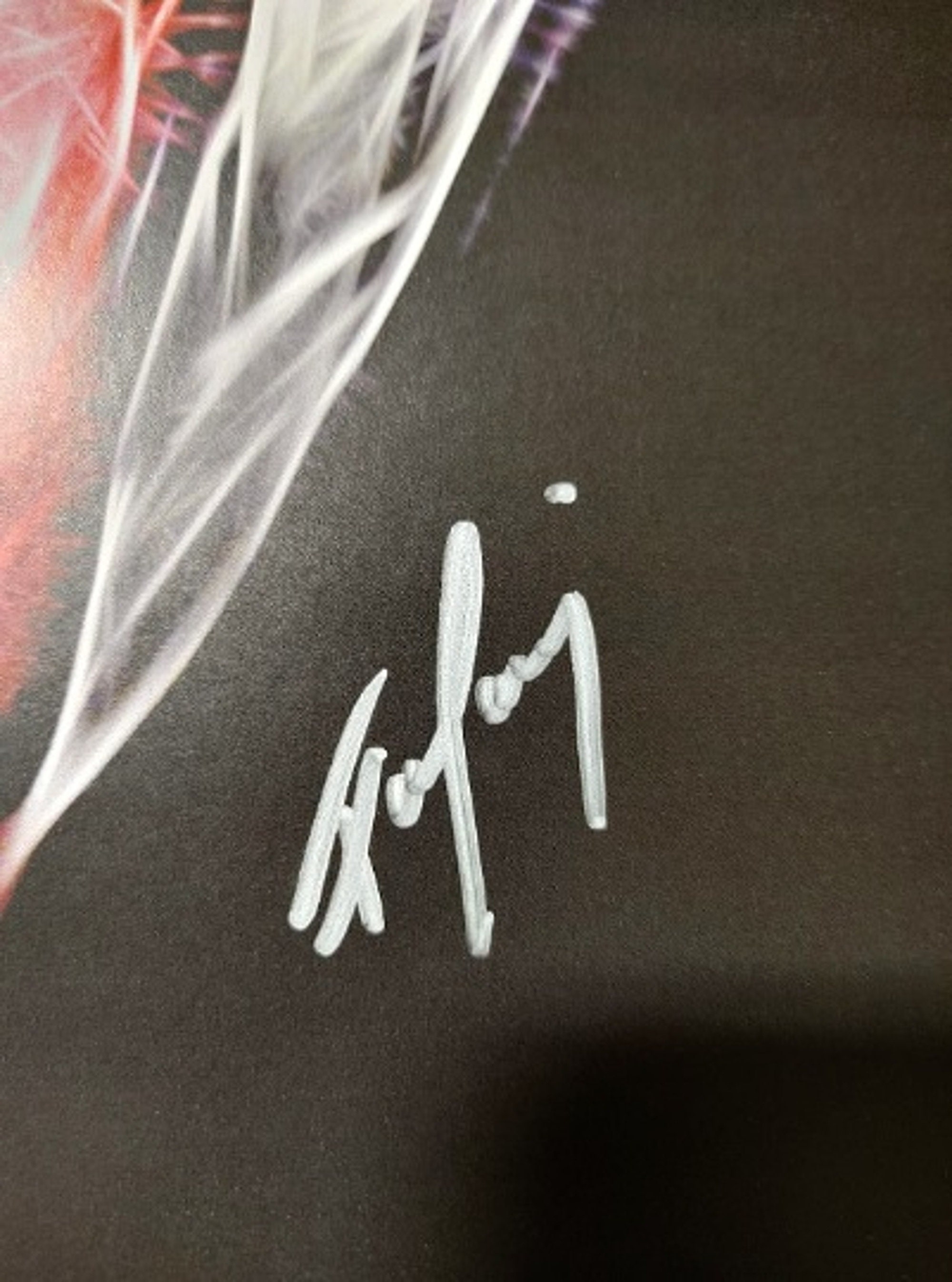 The Zenit Kises 京　サイン入り(ペニュ) il_fullxfull.2583125818_k1qj.jpg