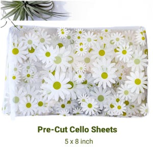 May include: Pre-cut cellophane sheets with a daisy pattern in white and green. The sheets are 5 x 8 inches.