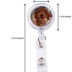 Op de afbeelding: Duidelijke, intrekbare badgehouder van plastic met een ronde foto-inzet met een bruine puppy. De badgehouder is 8,3 cm hoog en 1,9 cm breed.