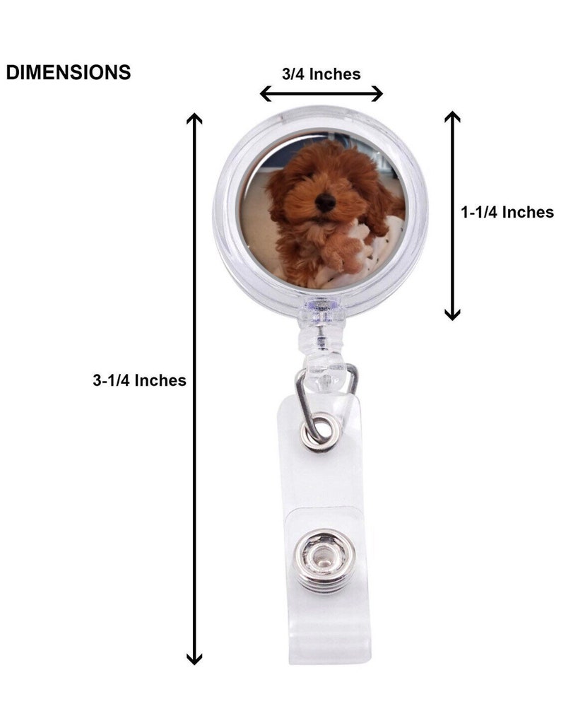 Op de afbeelding: Duidelijke, intrekbare badgehouder van plastic met een ronde foto-inzet met een bruine puppy. De badgehouder is 8,3 cm hoog en 1,9 cm breed.