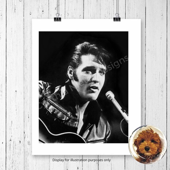 Elvis Presley the King of Rock and Roll, Black and White, Guitar