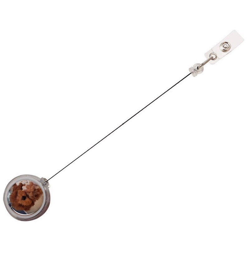Op de afbeelding: Een intrekbare badgehouder met een transparante plastic cirkel met een bruine hond. De houder heeft een zwart intrekbaar koord en een zilveren clip.