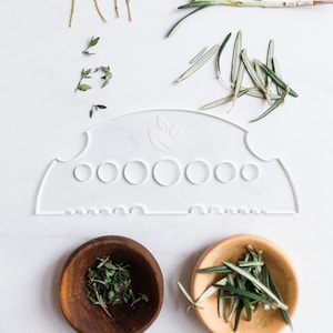 Acrylic Herb Stripper: Efficient Leaf Removal Tool for Cilantro, Thyme & Kale | Cooking Gadget