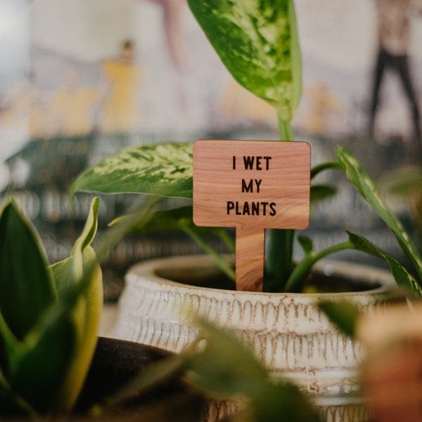 Humorous Cedar Plant Markers for Houseplant Enthusiasts