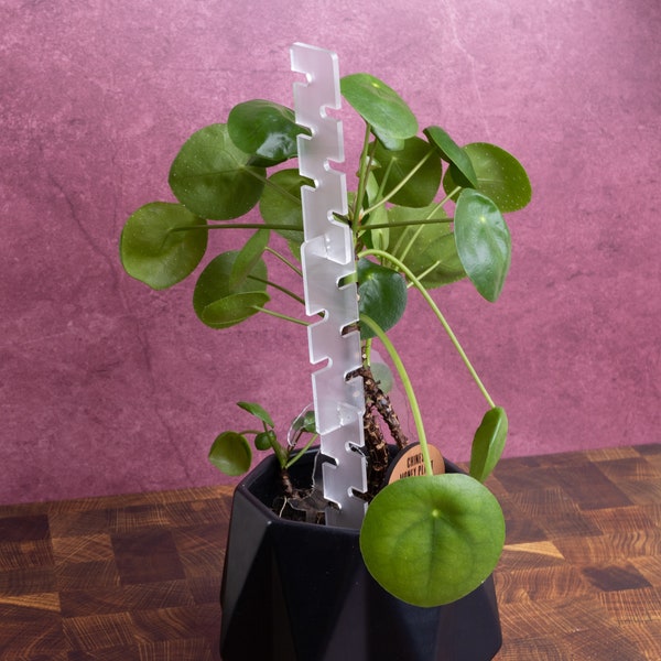 Indoor Plant Stand: Plant Trellis, Modular Design