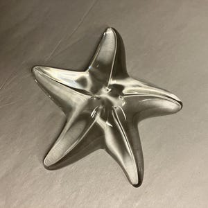 Steuben Galss スターフィッシュ ヒトデ 置物 Steuben Clear Glass Starfish Paperweight - Etsy