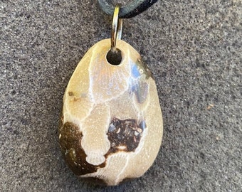 P-Town (Petoskey Stone)