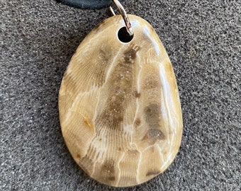 P-Town (Petoskey Stone)