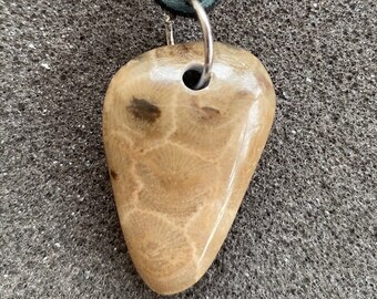 P-Town (Petoskey Stone)