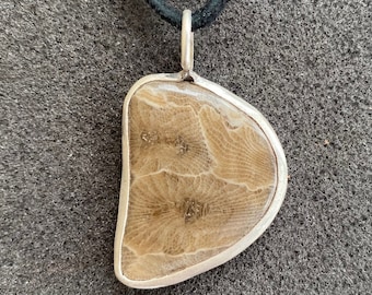 P-Town (Petoskey Stone)