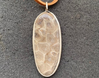 P-Town (Petoskey Stone)