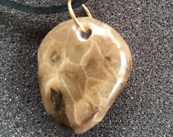 P-Town (Petoskey Stone)