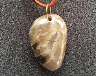 P-Town (Petoskey Stone)