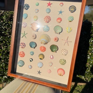 May include: Framed artwork featuring a collection of colorful seashell illustrations. The shells are in various shapes and sizes, with detailed patterns and textures. The frame is a warm brown color, and the background is a neutral beige.