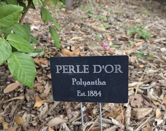 Custom Engraved Metal Plant Markers: Rose, Herb, Tree Labels