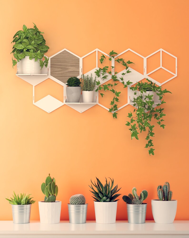 Hexagonal Plant Shelves Wall Planter Hexagon Wall Plant Etsy