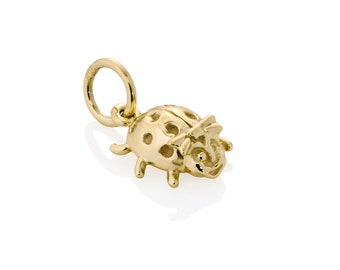 Könnte beinhalten: Ein goldfarbener Marienkäfer-Anhänger mit einer Schlaufe zum Befestigen an einem Armband oder einer Halskette. Der Marienkäfer hat ein detailliertes Design mit Punkten und einem lächelnden Gesicht. Der Anhänger ist aus glänzendem, reflektierendem Metall gefertigt.