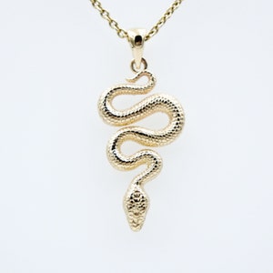 Könnte beinhalten: Eine goldfarbene Halskette mit Anhänger, die ein detailliertes Schlangenmuster aufweist. Die Schlange ist gewunden und strukturiert, mit einem kleinen Kopf und einer Kette. Der Schmuck ist vor einem weißen Hintergrund platziert.