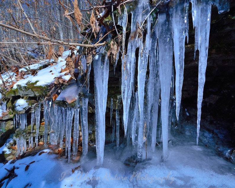 Icicle Icicles Ice Frozen Water Winter Weather Blue White Nature Forest Photo Digital Download File Green Brown Photography Art Downloads A image 1