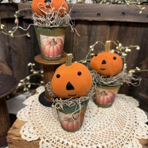 Peat Moss Pot Pumpkins