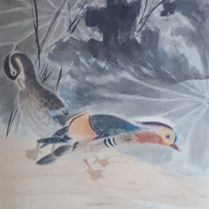 Chinese Scroll Birds Flowers China 2nd H 20th Century