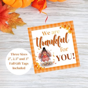 Appreciation Tag, Printable Thanksgiving Gift Tag, Fall Gift Tag, Autumn Tags, Autumn Thank You Tag, Thanksgiving Appreciation Tag, Fall Tag