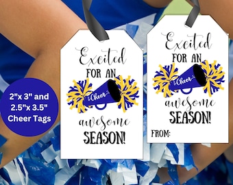 Cheerleading Good Luck Tag, Sports Gift Tag (Digital Download)
