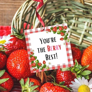 Appreciation Tag, Teacher Appreciation Tag, Printable Appreciate Tag, Strawberry Gift Tag, Berry Best Gift Tag, Strawberry Tag, Teacher Tag