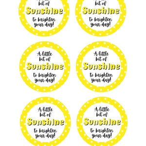 Appreciation Tag, Brighten Your Day Tag, Printable Treat Tags, Teacher Gift Tag, Sunshine Gift Tag, Teacher Tag, Appreciation Gift Tag image 4