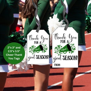 Cheer Tag, Cheerleading Thank You Tag, Good Luck Tag, Cheer Snack Tag,  Printable Cheer Tag, Thanks for a Great Season Tag, Sports Tag