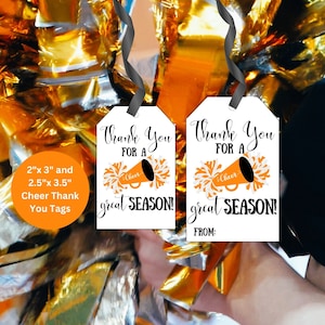 Cheer Tag, Cheerleading Thank You Tag, Good Luck Tag, Cheer Snack Tag,  Printable Cheer Tag, Thanks for a Great Season Tag, Sports Tag