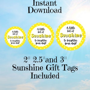 Appreciation Tag, Brighten Your Day Tag, Printable Treat Tags, Teacher Gift Tag, Sunshine Gift Tag, Teacher Tag, Appreciation Gift Tag image 3