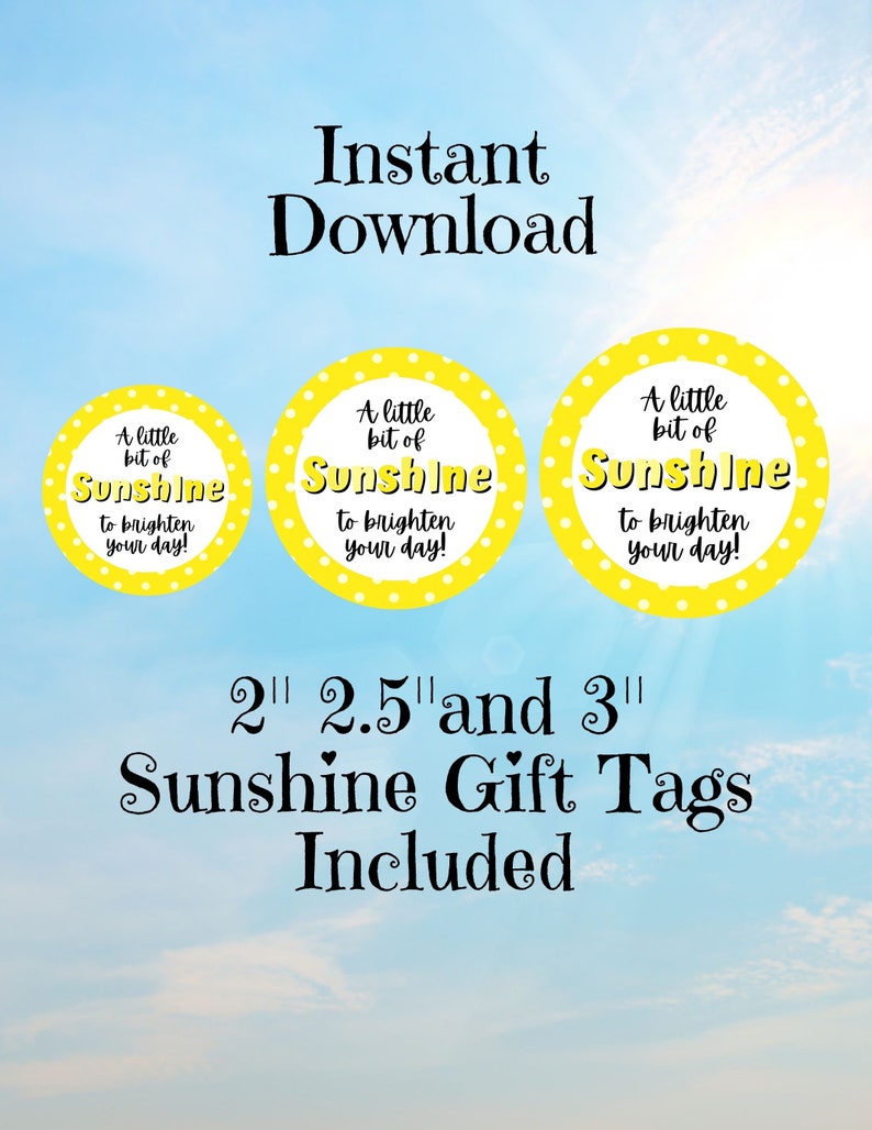 Appreciation Tag, Brighten Your Day Tag, Printable Treat Tags, Teacher Gift Tag, Sunshine Gift Tag, Teacher Tag, Appreciation Gift Tag image 3