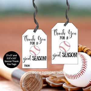 Baseball Anhänger, Baseball Dankeschön Anhänger, Viel Glück Anhänger, Baseball Snack Anhänger, Druckbare Baseball Anhänger, Danke für eine tolle Saison Anhänger, Sportanhänger