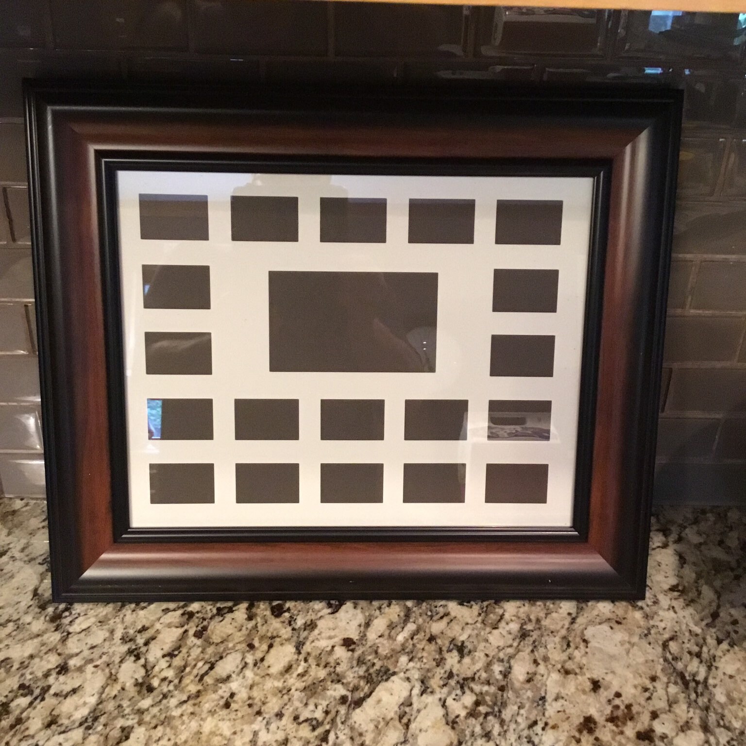 Waterfowl Collector Duck Stamp Picture Frame W/3x5 Photo Cutout.