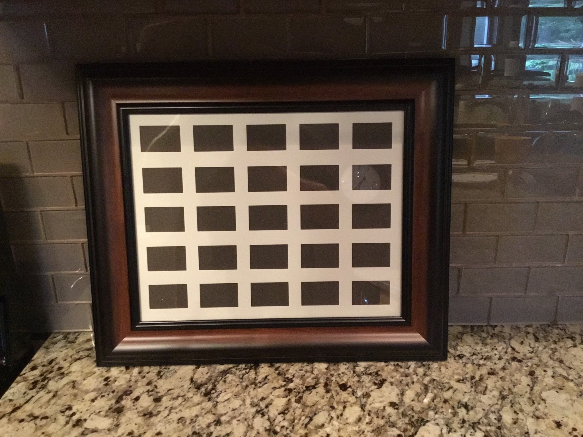 Waterfowl Collector Duck Stamp Frame Etsy