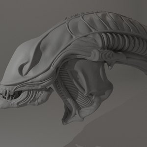 Aliens (1986) Screen Accurate Alien Warrior Head 3D Model Fan Art