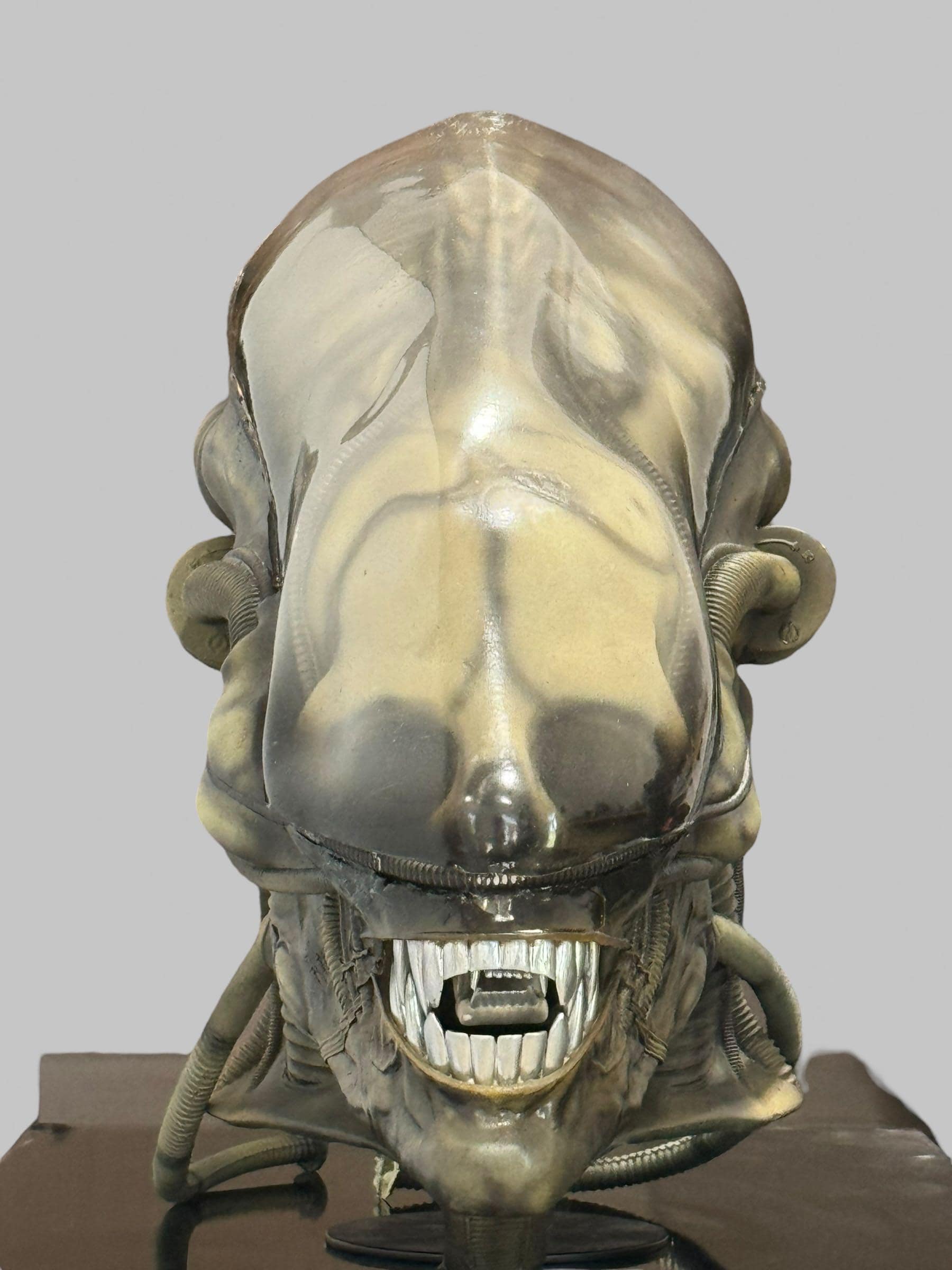 Alien (1979) Screen Accurate Big Chap Head 3D Model Fan Art - Etsy