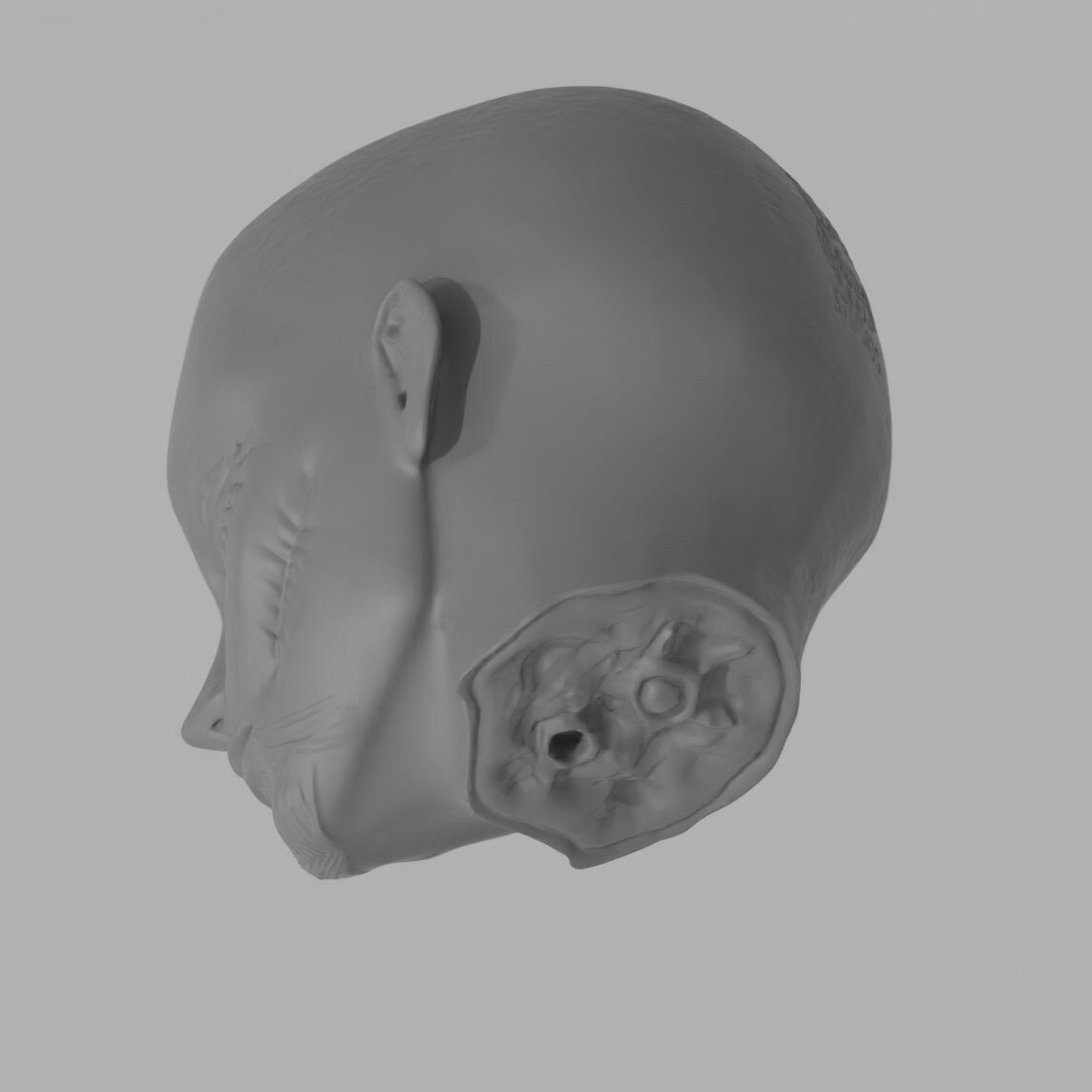 Founder Eren Head Prop 3D Model Fan Art for Cosplay Etsy