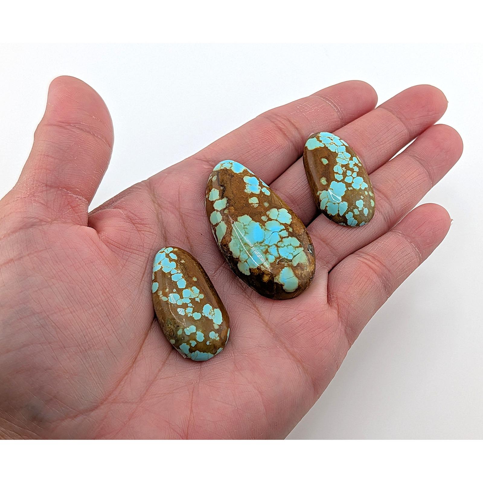 【☆貴重☆】メキシコ産　キノコ型　パワーストーン Authentic No. 8 Mine Turquoise RARE 100 Carats Spiderweb Matrix