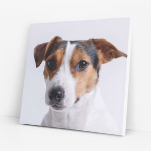 Impressão em tela para animais de estimação - Imprima as fotos dos seus animais de estimação em tela - Impressão em tela para cães, Impressão em tela para gatos, Arte de parede personalizada para animais de estimação em todos os tamanhos.