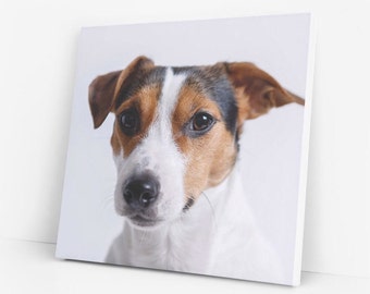 Custom Pet Canvas Print: Dog, Cat and other Pet Photo to Art, Christmas Gift