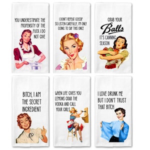 Retro Sassy II -6 Pack|Funny Towel|Adult Humor|Housewarming Gift|Kitchen Towel|Towel Bundle