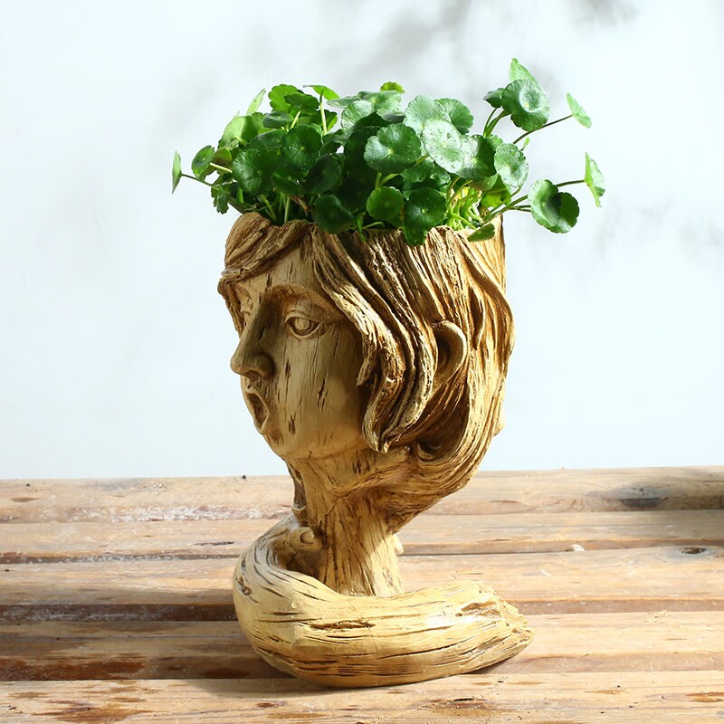 indoor head plant pot