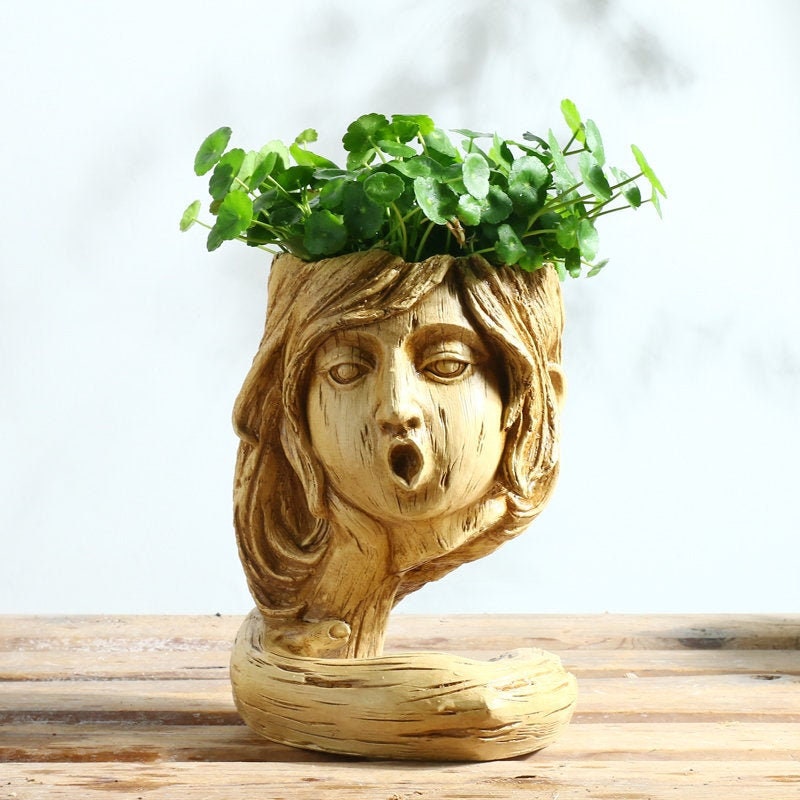 indoor head plant pot