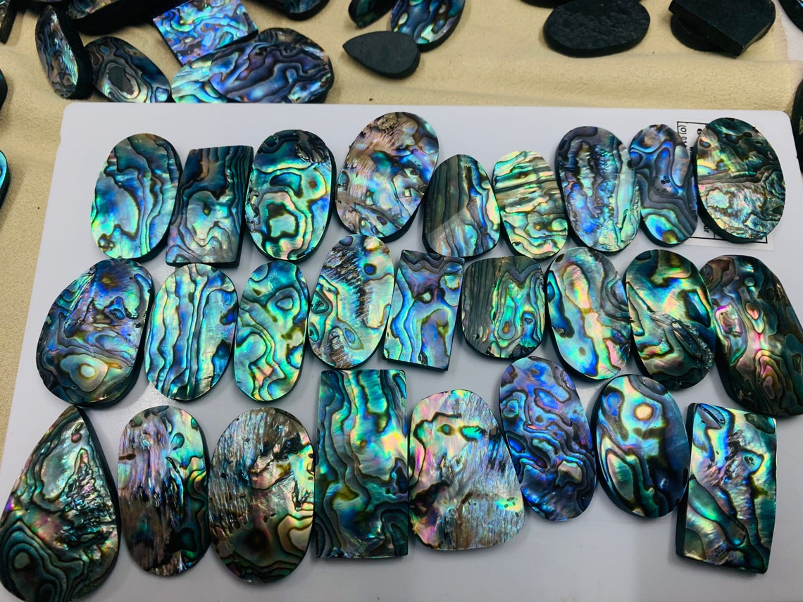 Natural Abalone Shell Piece Wholesale Lot Abalone Shell for Etsy